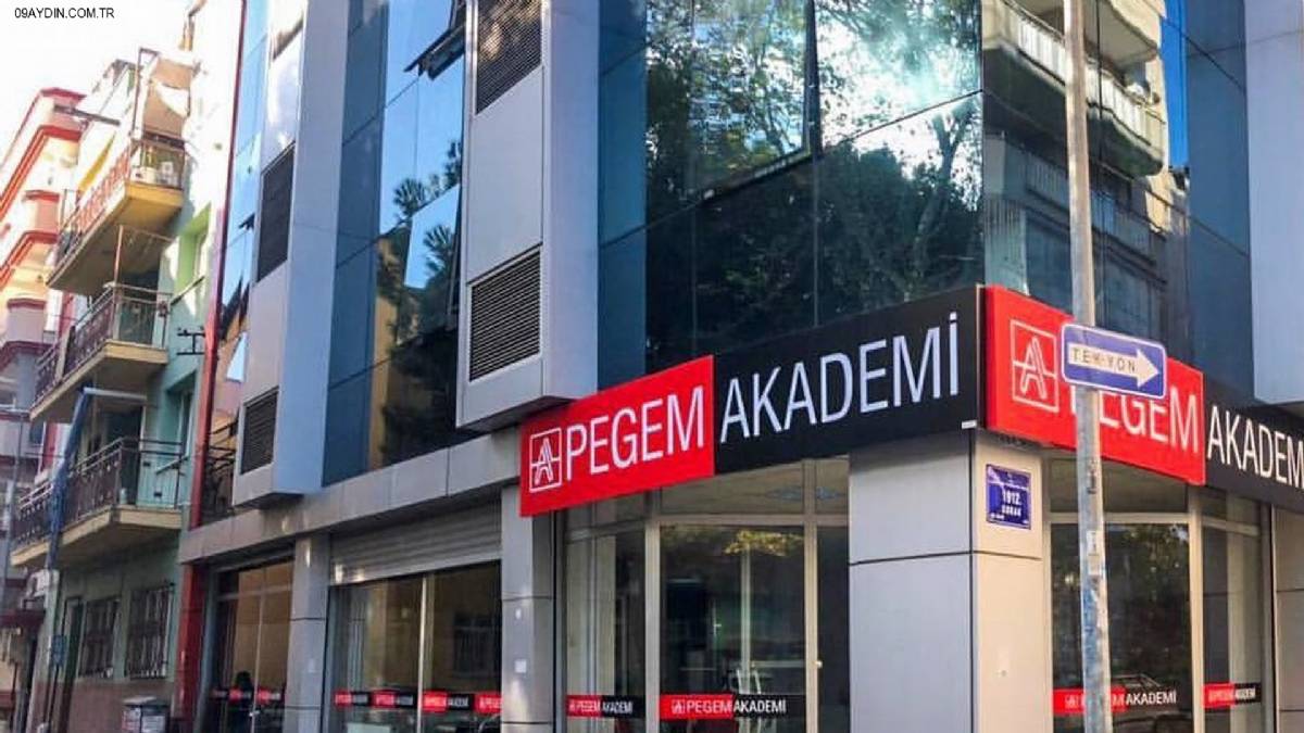 Pegem Akademi Efeler AYDIN