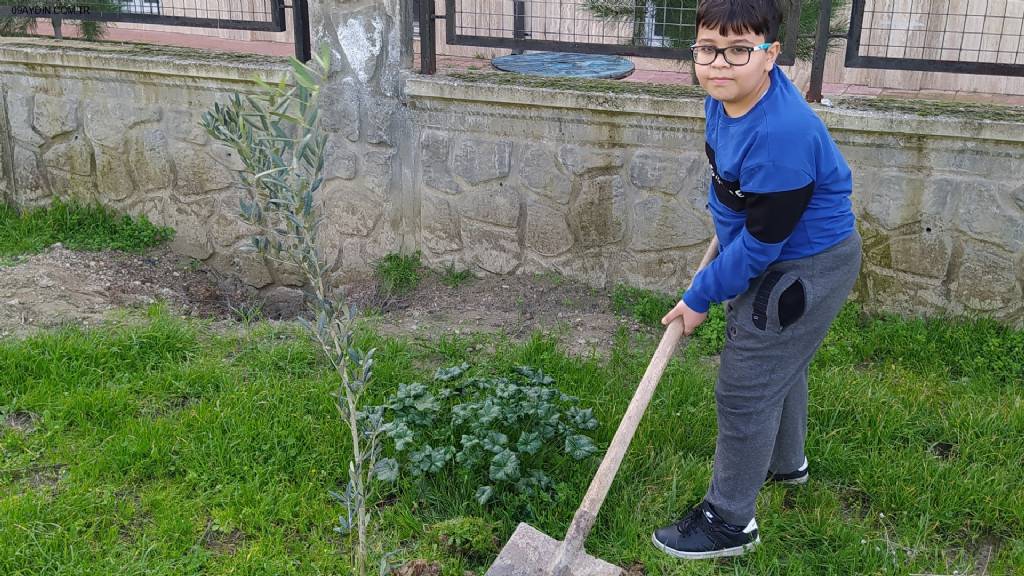 ÇİNE ANADOLU İMAM HATİP LİSESİ FEN VE SOSYAL BİLİMLER PROJE OKULU Fotoğrafları