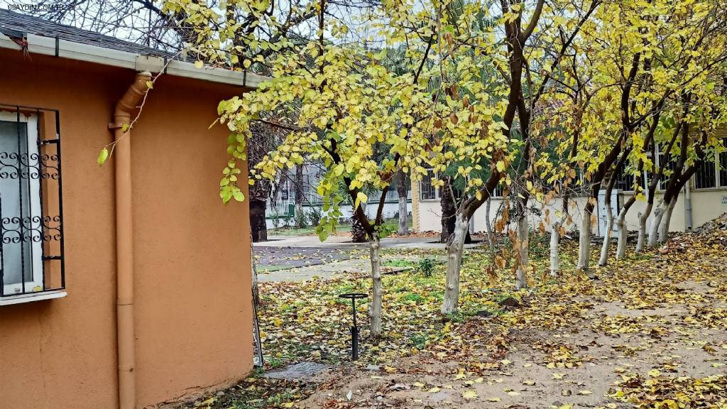 Çine Anadolu Teknik Ve Endüstri Meslek Lisesi Fotoğrafları