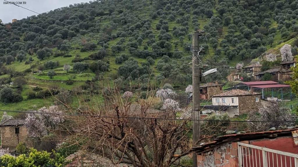 MAHALLE MUHTARLIĞI Fotoğrafları