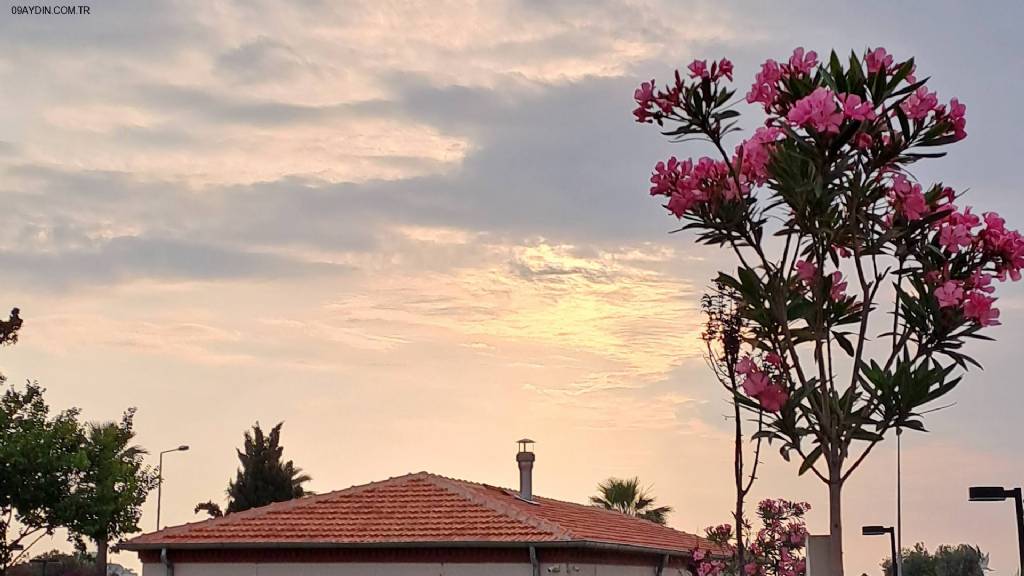 Kuşadası Belediye Sarayı Fotoğrafları