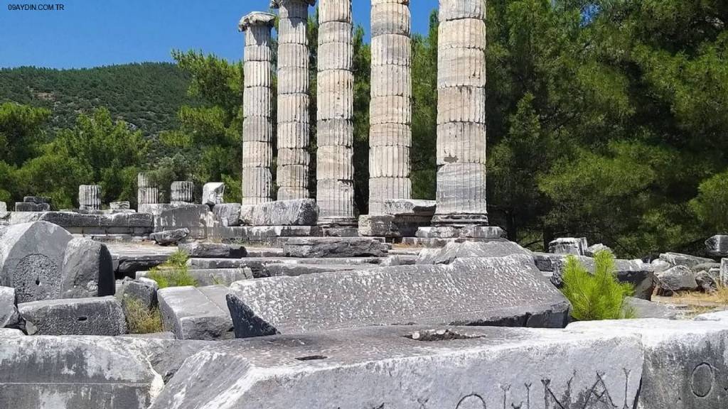 Söke Güllübahçe Muhtarlığı Fotoğrafları