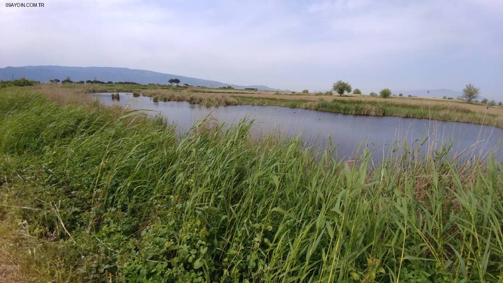 İncirliova Belediyesi Fotoğrafları