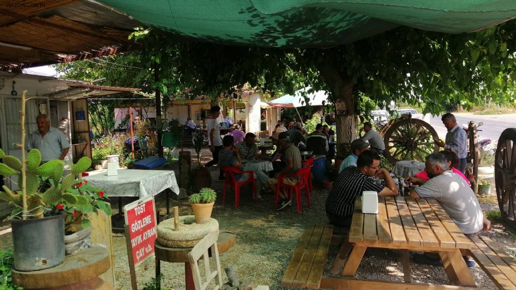 Dut Altı Köy Usulü Restaurant Fotoğrafları