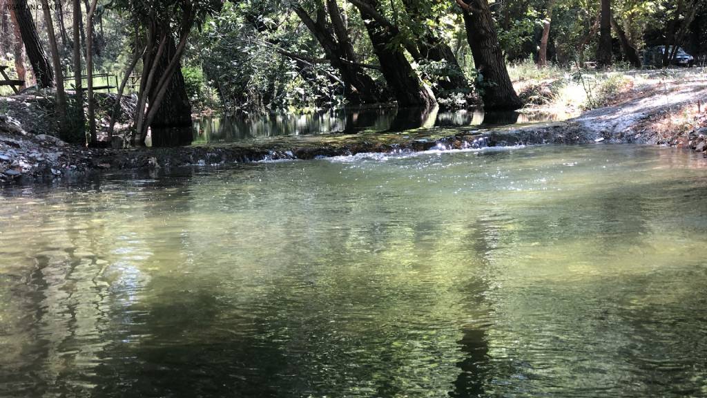 EGE DOĞA PARK Fotoğrafları