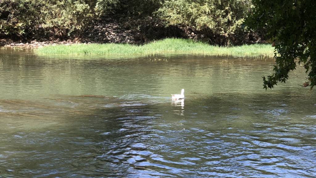 EGE DOĞA PARK Fotoğrafları