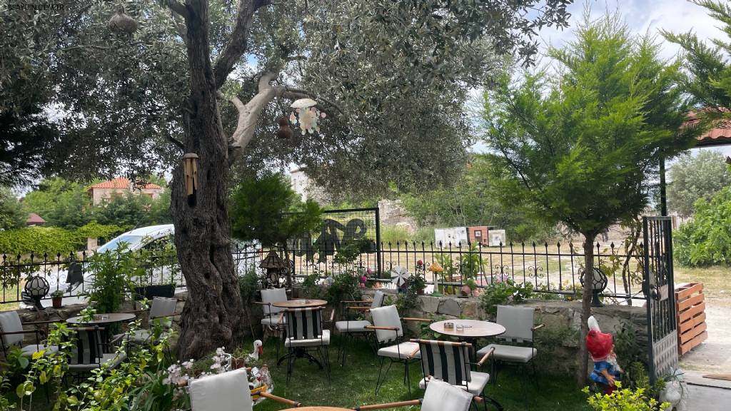 Didim Venüs Cafe Fotoğrafları