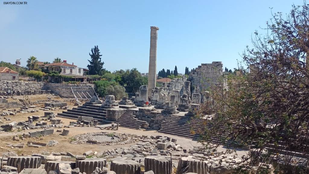 Tapınak Cafe Fotoğrafları