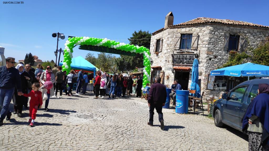 Vegan Fest Alanı Fotoğrafları