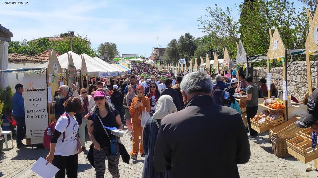 Vegan Fest Alanı Fotoğrafları