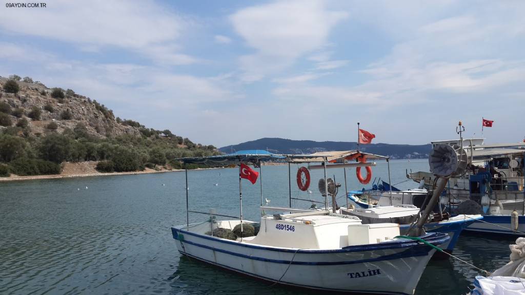 Gökkuşagi Cafe Park Karacasu Fotoğrafları