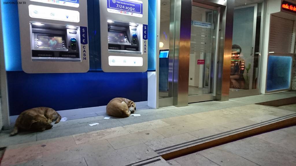 Türkiye İş Bankası Çarşı-Kuşadası/Aydın Şubesi Fotoğrafları