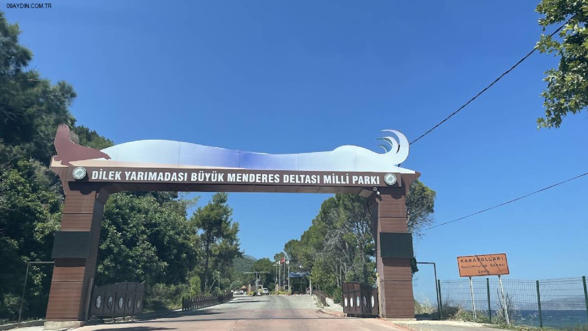 Güzel Çamlı Milli Park Önü