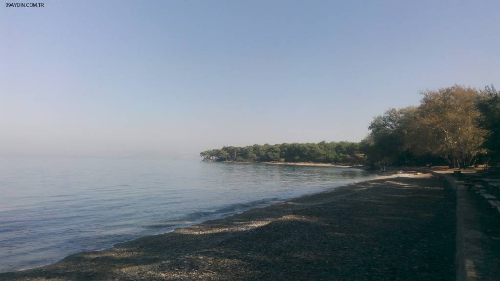 Güzel Çamlı Milli Park Önü Fotoğrafları