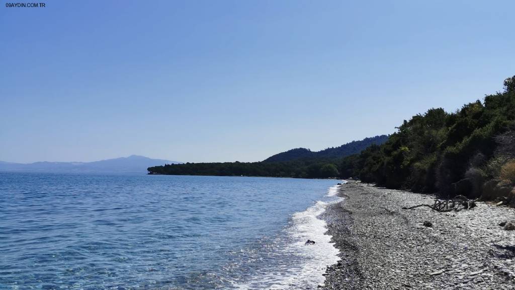 Güzel Çamlı Milli Park Önü Fotoğrafları