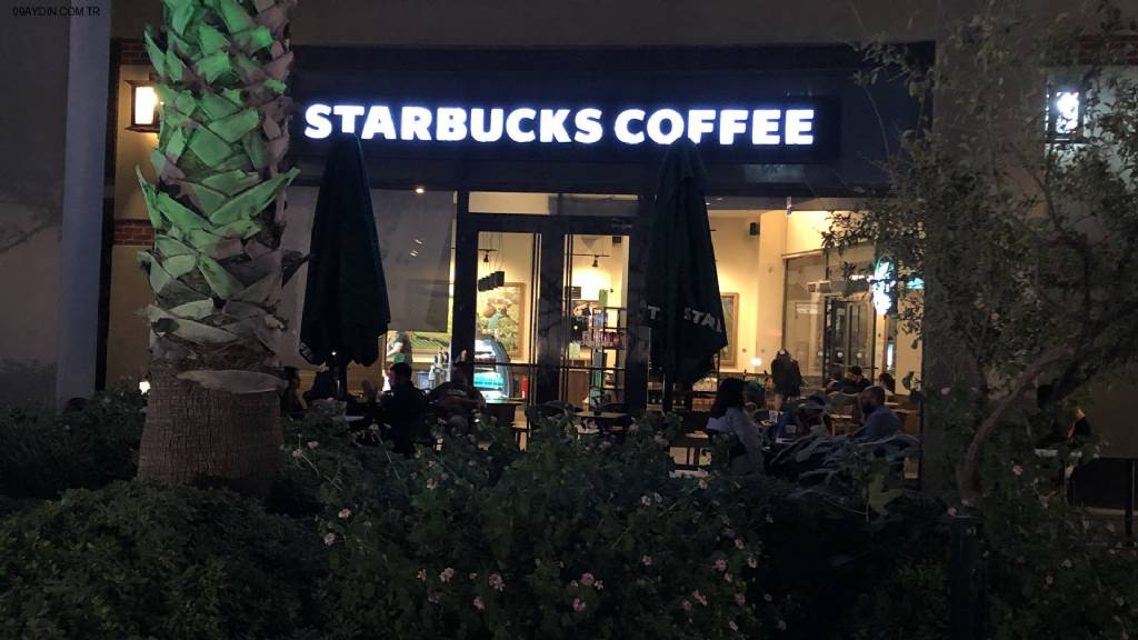 Starbucks Fotoğrafları