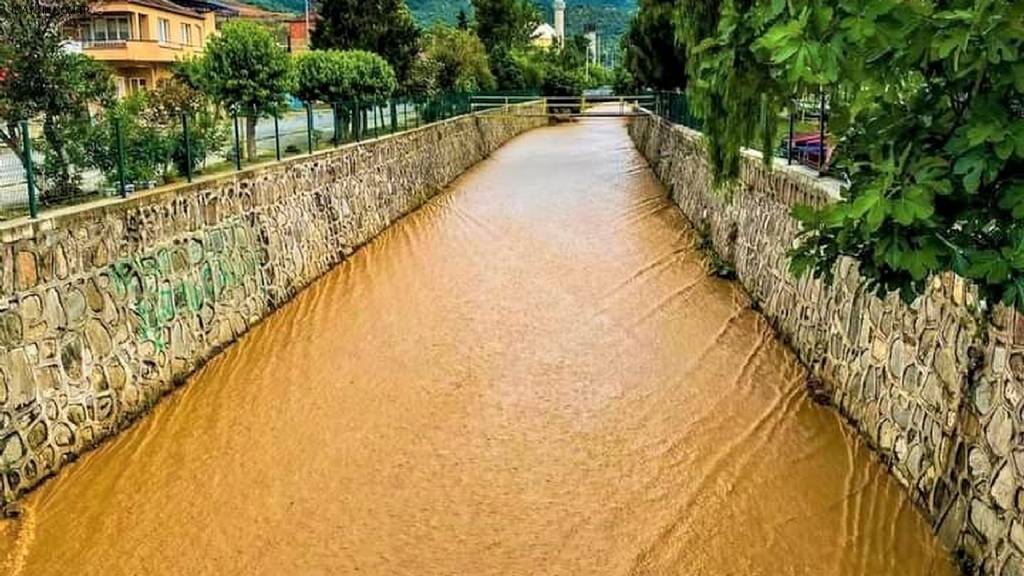 Hakkının Yeri Fotoğrafları