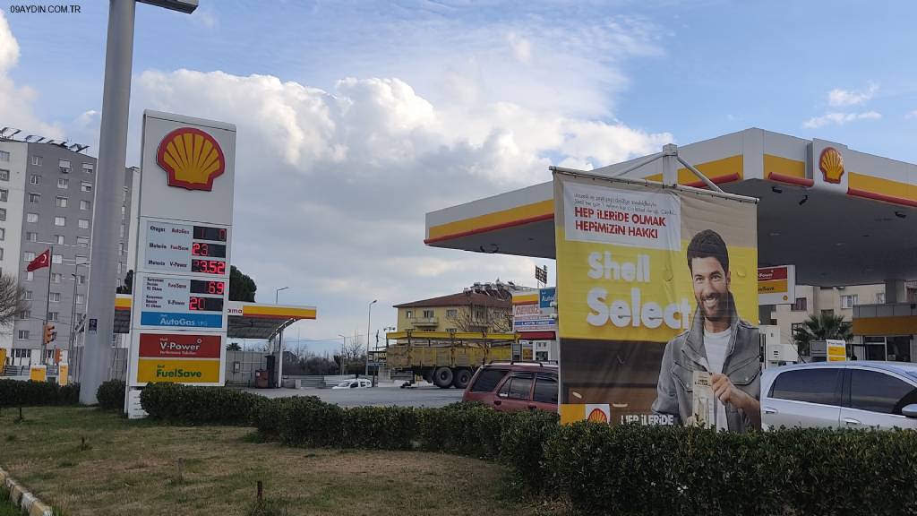 Shell Fotoğrafları