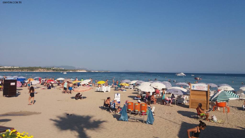 Şok Market Fotoğrafları