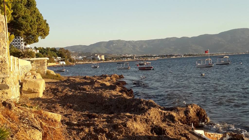 Aspava Market Fotoğrafları