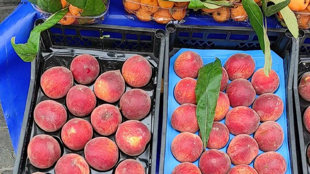 Çevreyolu Manav Market Fotoğrafları