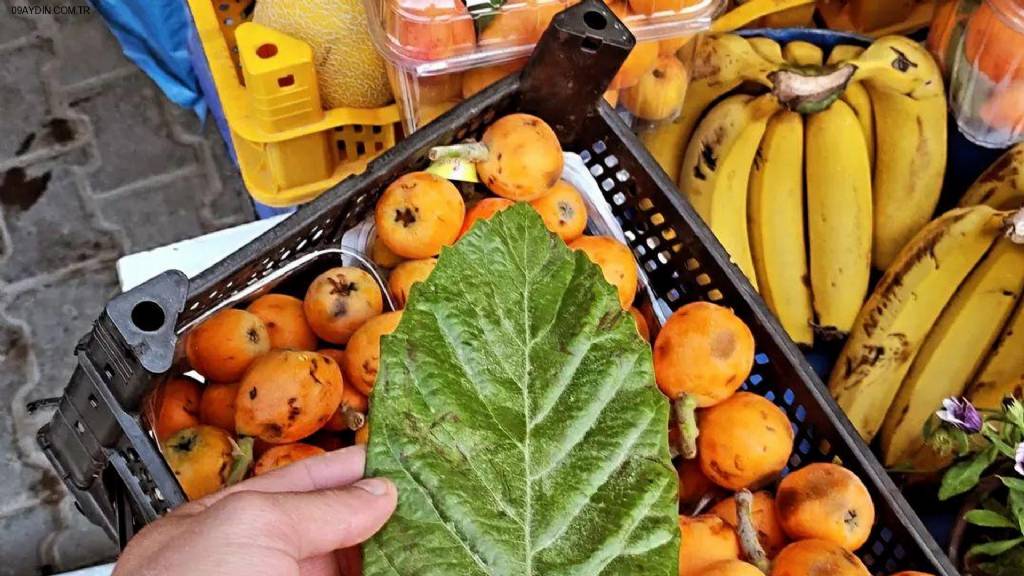 Çevreyolu Manav Market Fotoğrafları