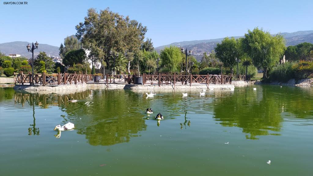 Kuvayi Milliye Müzesi Fotoğrafları