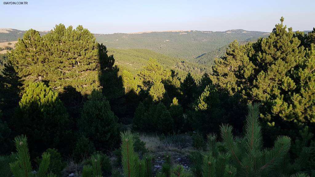 Şarlan Tabiat parkı Fotoğrafları