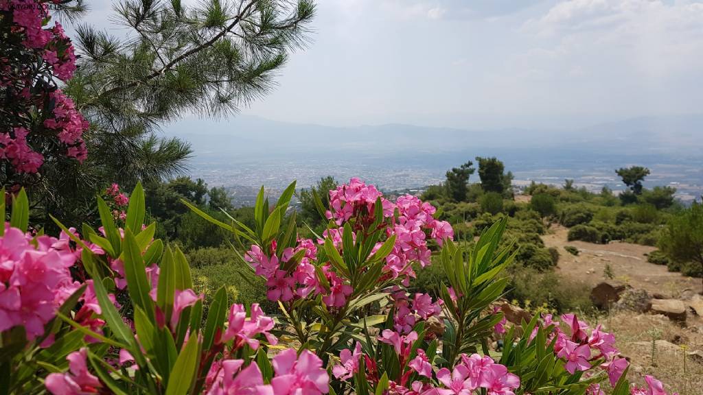 Şarlan Tabiat parkı Fotoğrafları