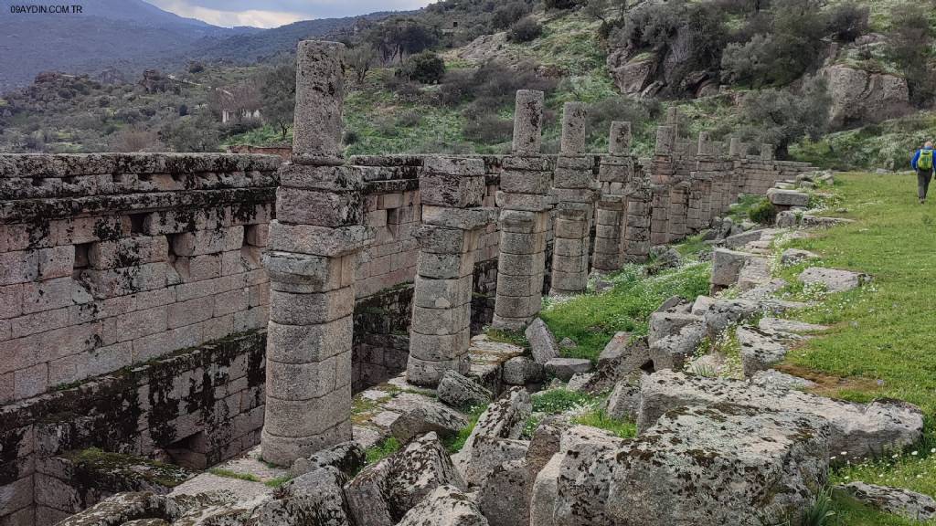 Alinda Ören Yeri Fotoğrafları