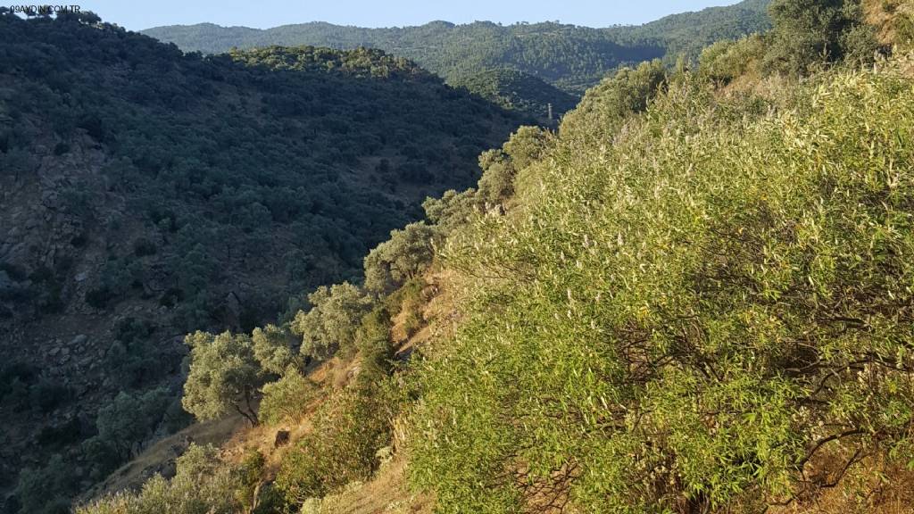 Çine Asar Kanyonu Fotoğrafları