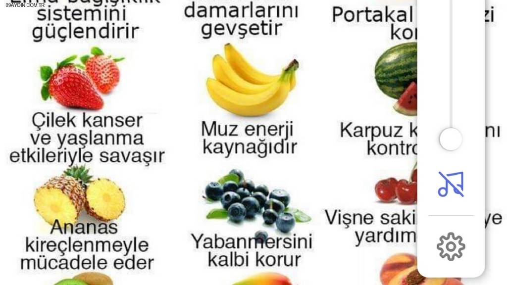 Meyve Sebze Hali Fotoğrafları