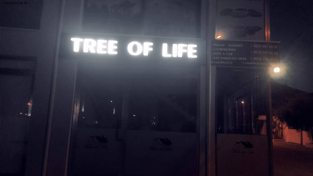 TREE OF LİFE Fotoğrafları