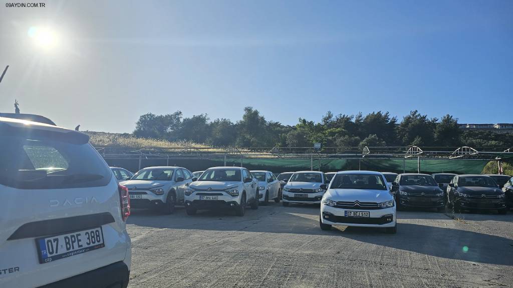 Cizgi rent a car Milas Bodrum Fotoğrafları