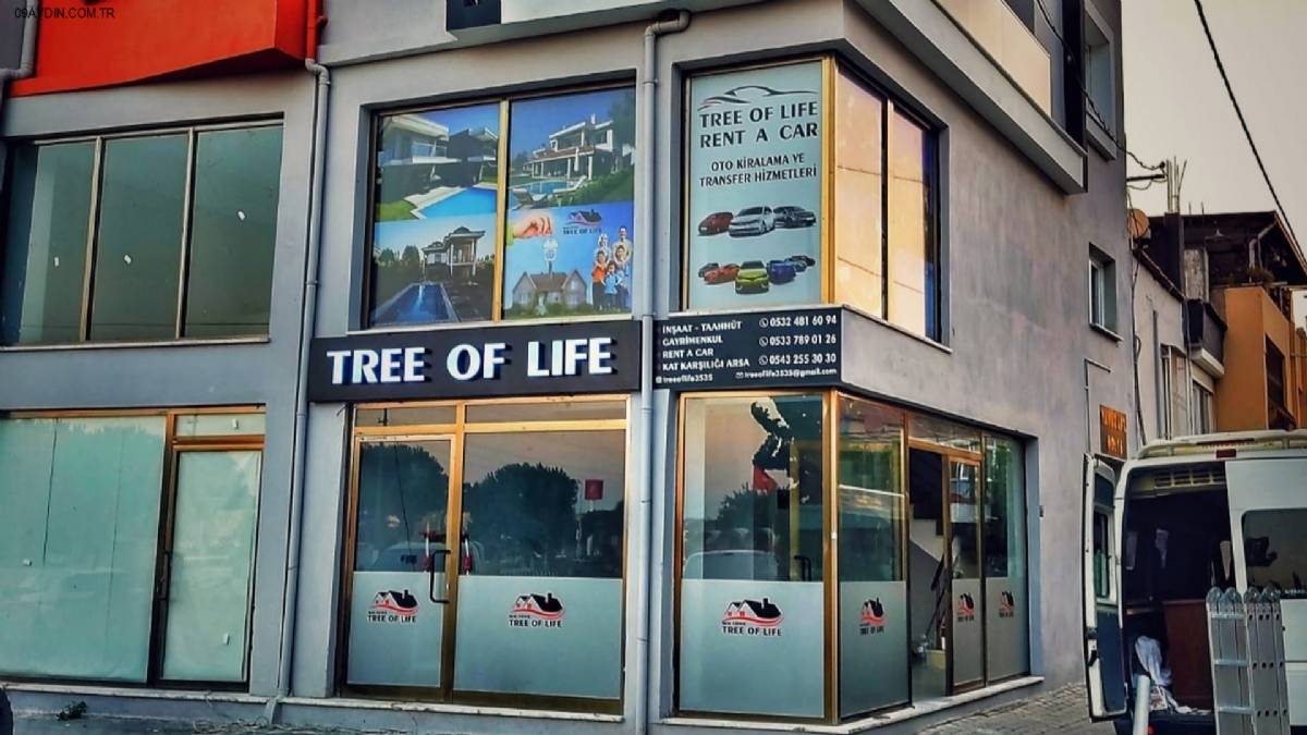 TREE OF LİFE