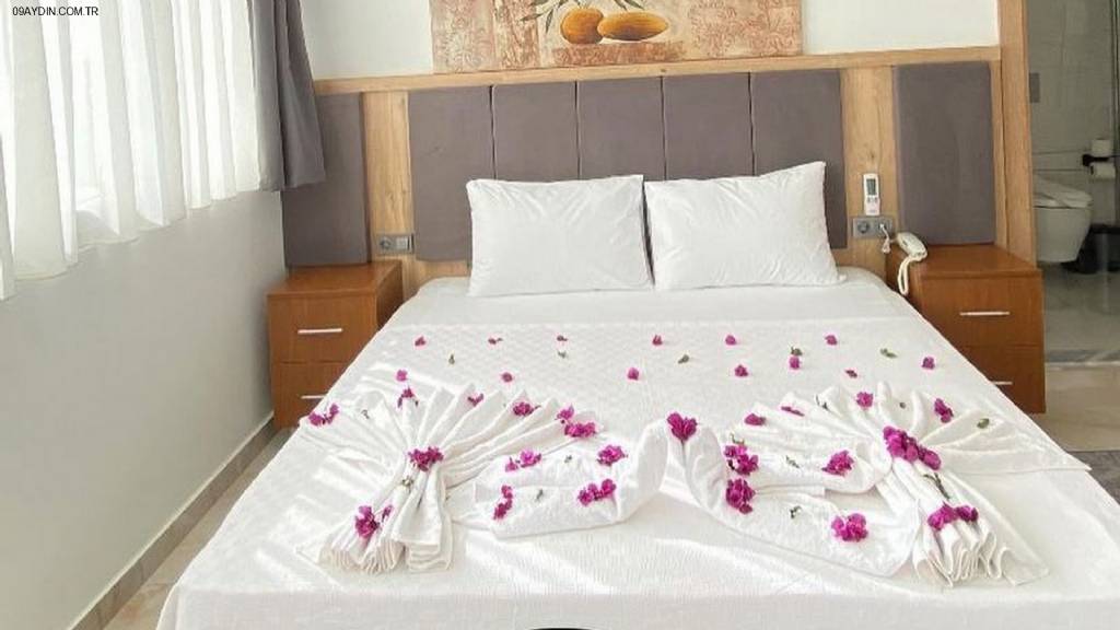 Aristo 2 butik otel Fotoğrafları