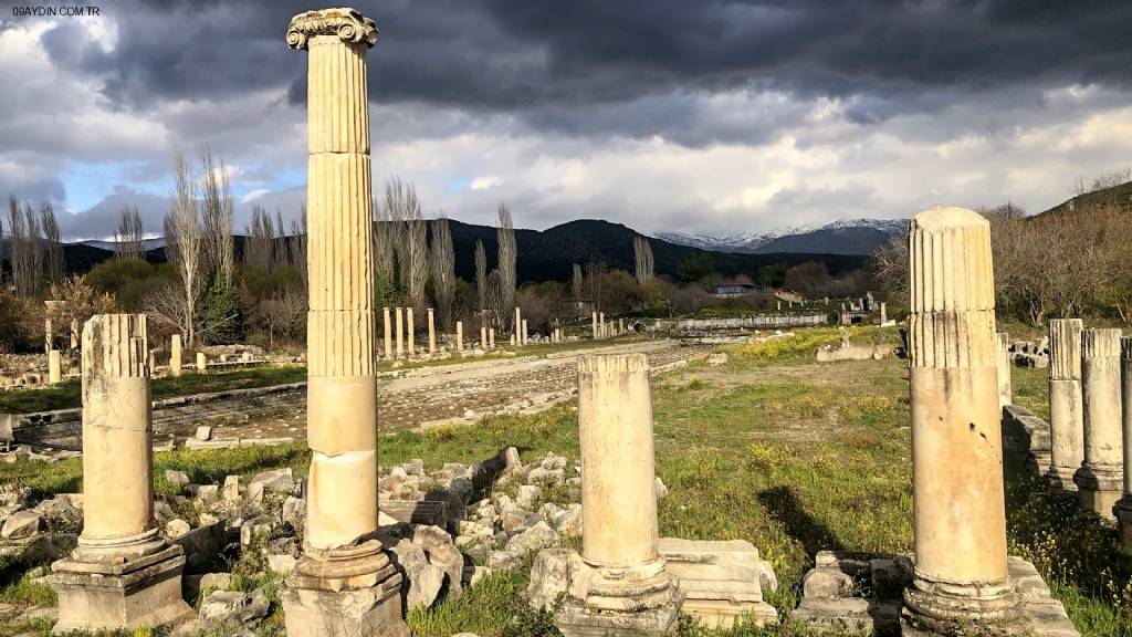 Anatolia Hotel ( Geyre Karacasu Afrodisias ) Fotoğrafları