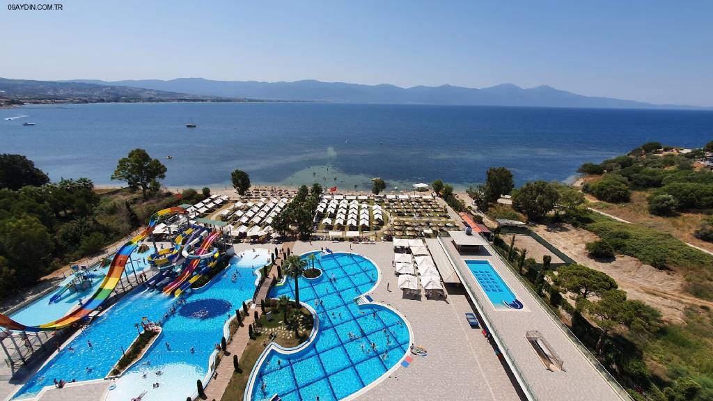 Seven Seas Sealight Elite Hotel Fotoğrafları