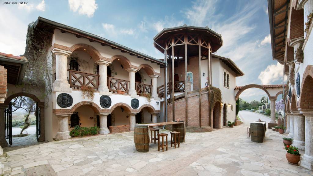 Vinifera Vineyards Hotel Fotoğrafları