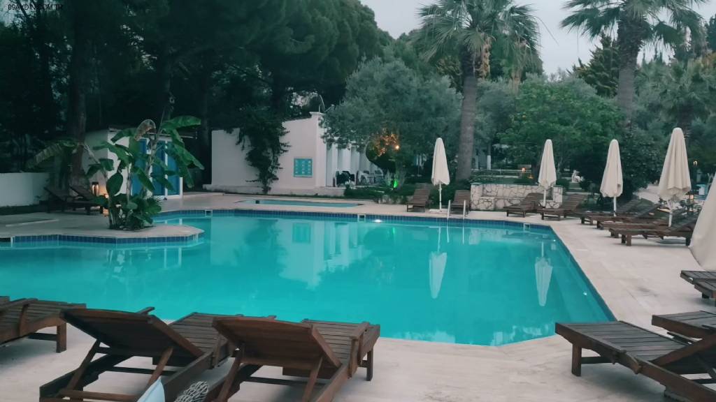 Risus Garden Hotel Fotoğrafları