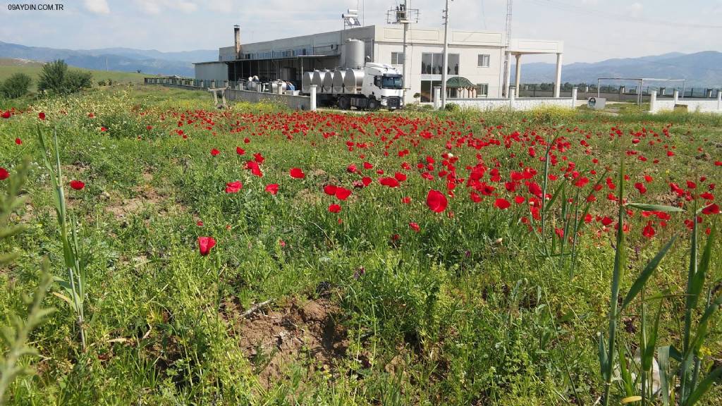 Çine Organize Sanayi Bölgesi Fotoğrafları