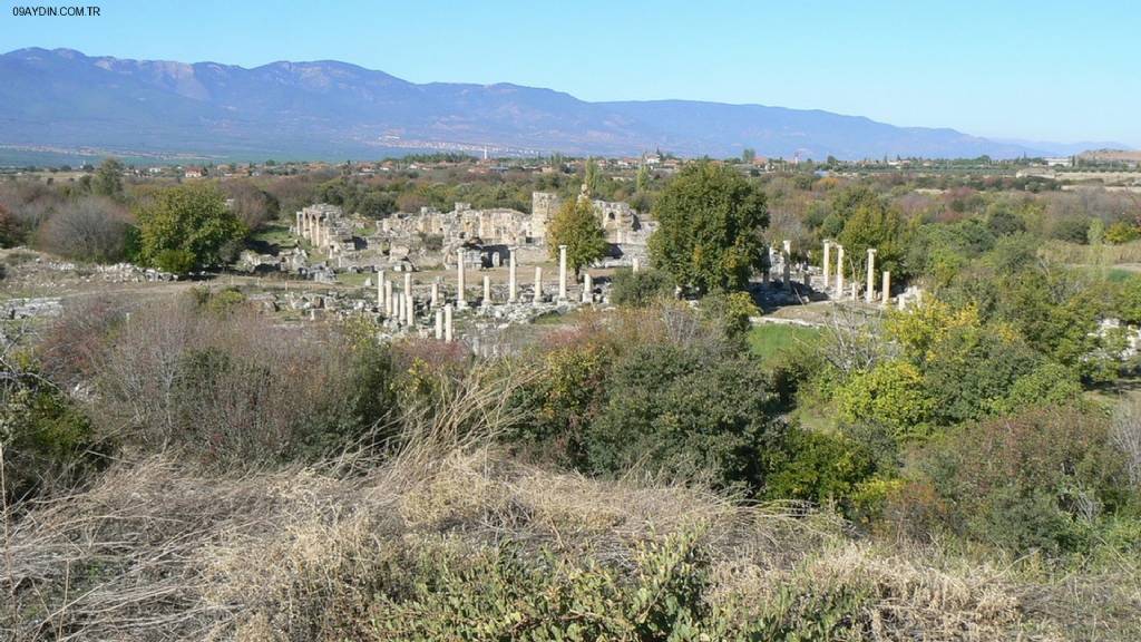 Aphrodisias Amphitheatre Fotoğrafları