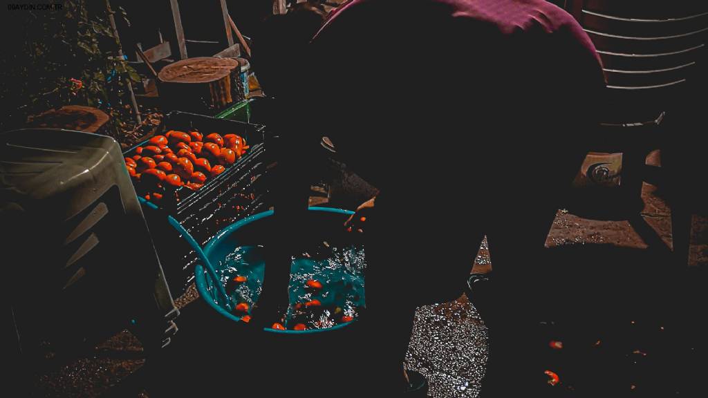 Çalışkan Hobi Bahçesi Fotoğrafları