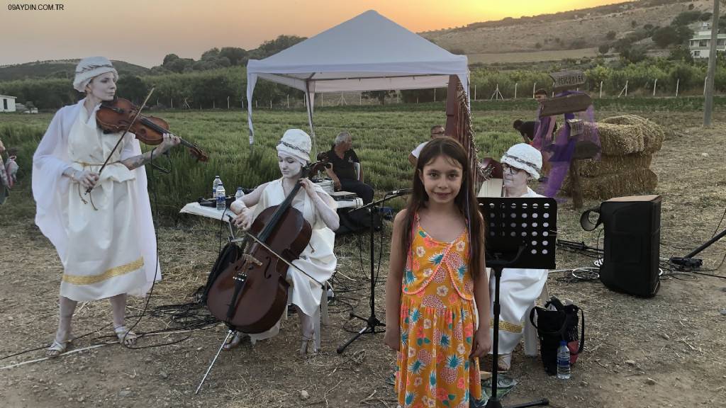 Didim Belediyesi Tıbbi Aromatik Bitkiler ve Süs Bitkileri Üretim Fidanlığı Fotoğrafları