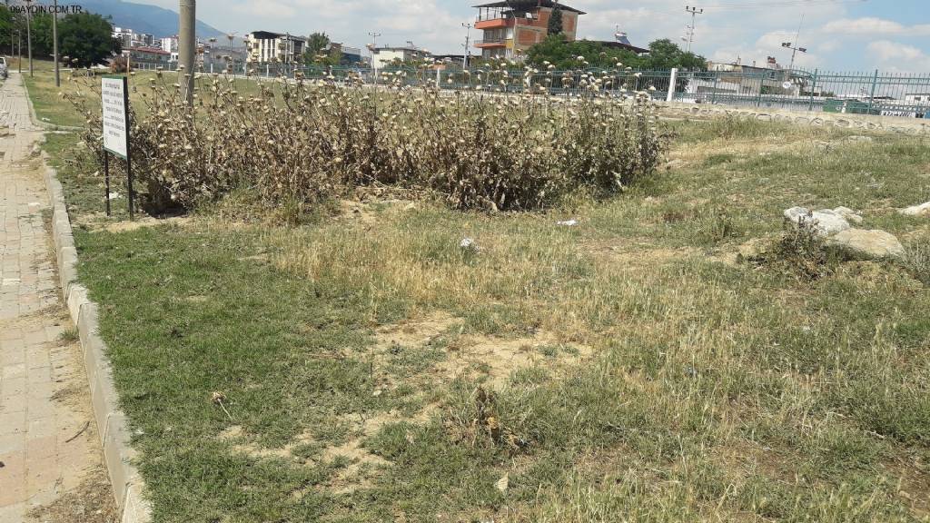 Nazilli Belediyesi Park Ve Bahçeler Müdürlüğü Fotoğrafları