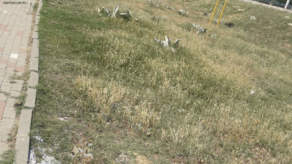 Nazilli Belediyesi Park Ve Bahçeler Müdürlüğü Fotoğrafları