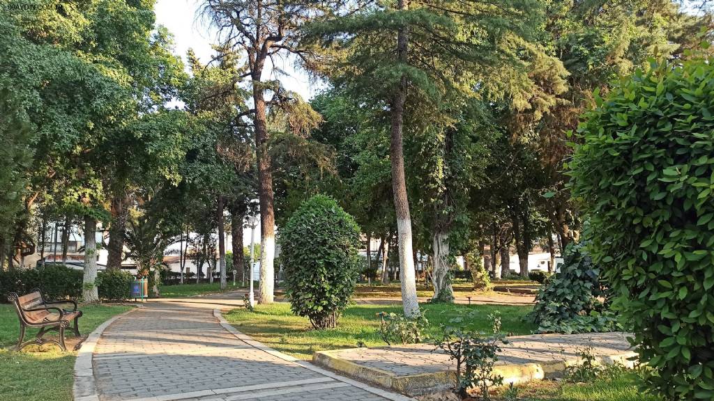 Atça Parkı Fotoğrafları