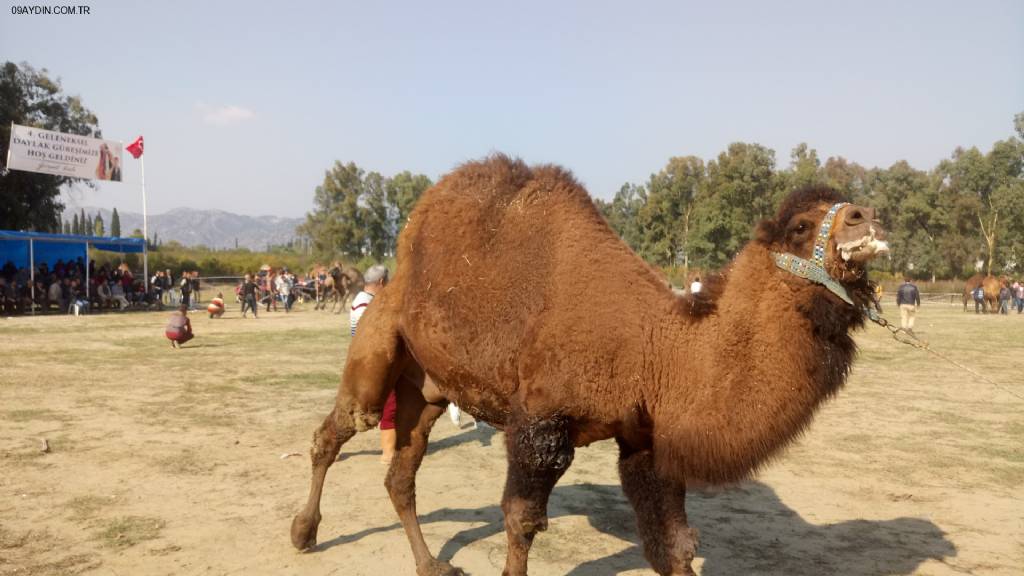 İncirliova Kültür Park Sosyal Tesisleri Fotoğrafları