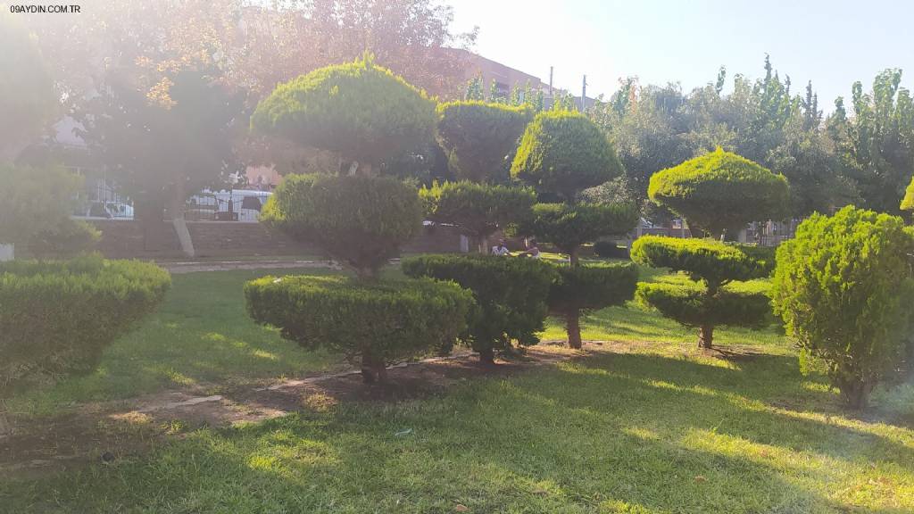 MERKEZ PARK Fotoğrafları