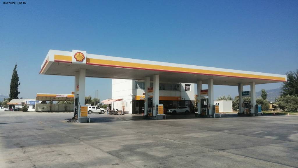 Shell Fotoğrafları